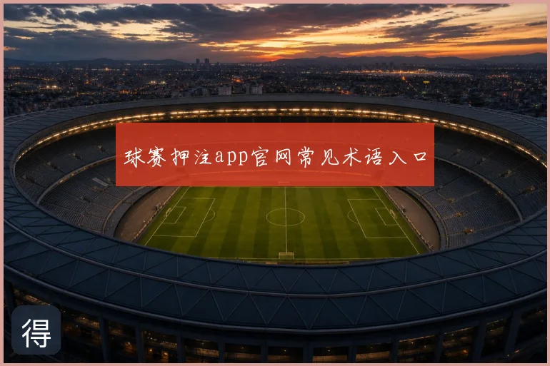 球赛押注app官网常见术语入口