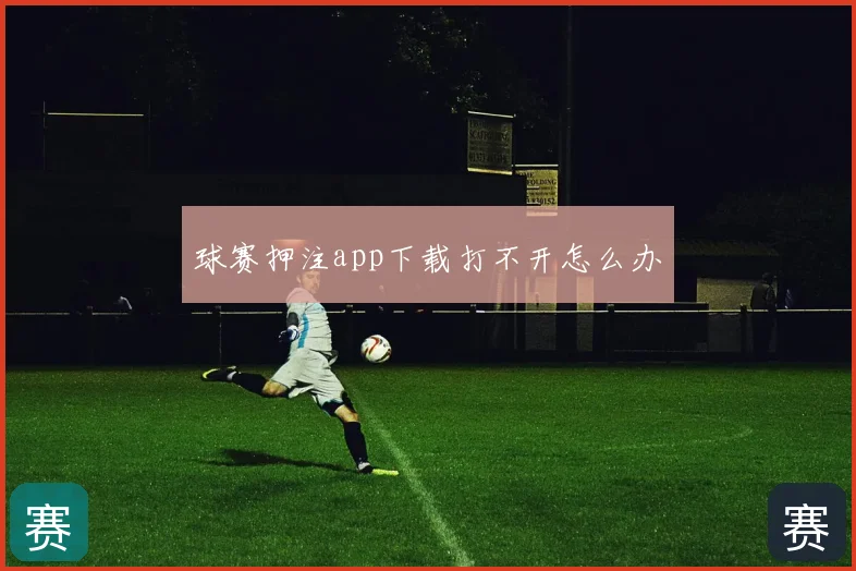 球赛押注app下载打不开怎么办