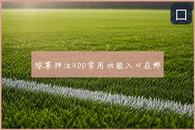 球赛押注app常用功能入口在哪